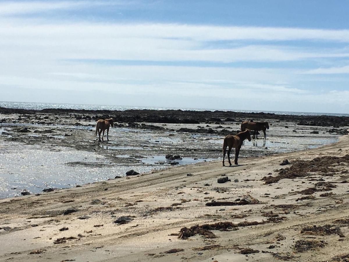 90 Mile Paradise Ahipara Eksteriør bilde